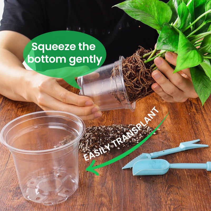 Bluepro 36 Packs 6.7/5/4/3.5 Inch Reinforced Clear Nursery Pots with Drainage Hole  Transparent Variety Pack Plastic Plant Pot Seedling Planter Seed Starter Flower - Image 5